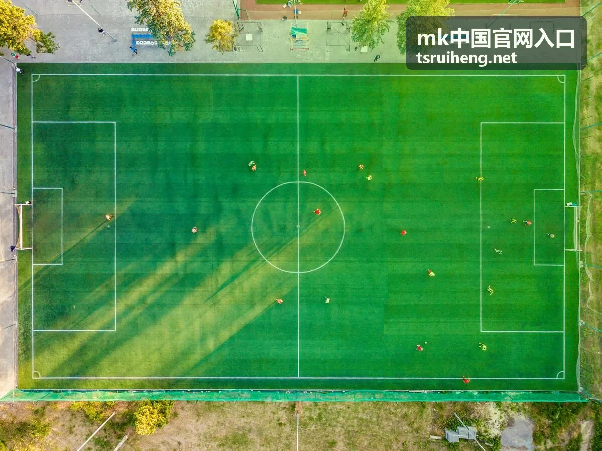 MK中国官网入口服务调整通知的查看与反馈方式